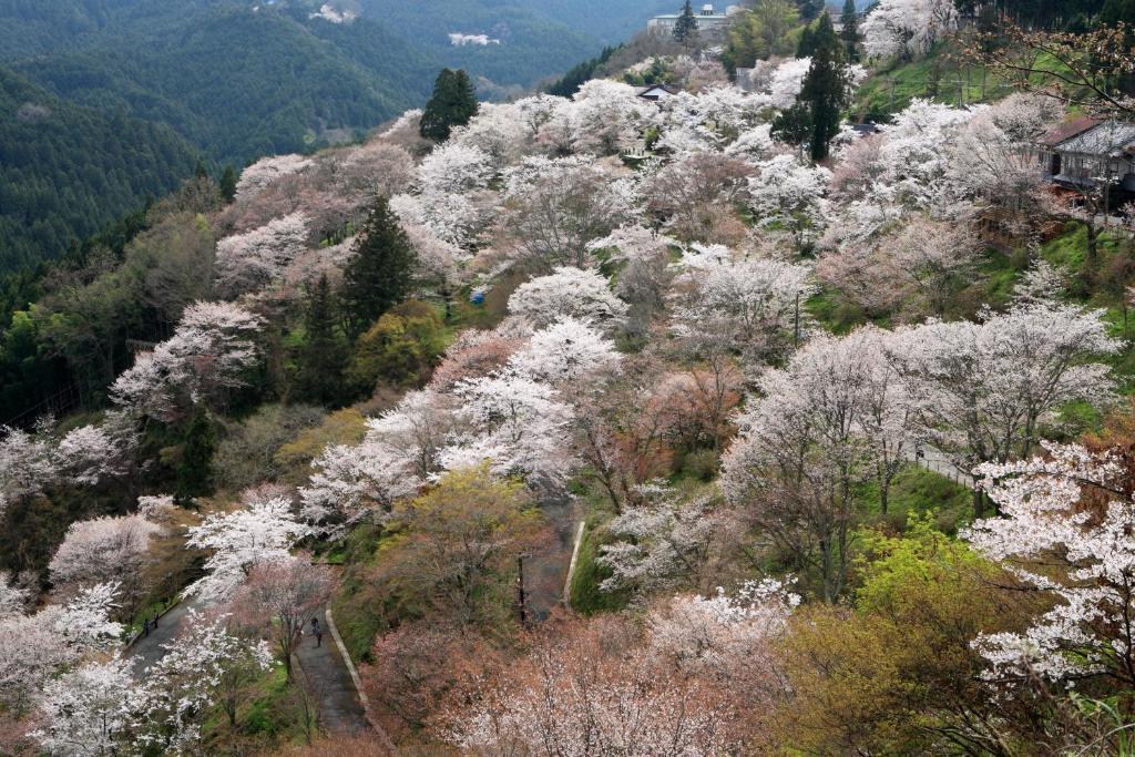 Ryokan Kato Hotel Yoshino  Eksteriør billede